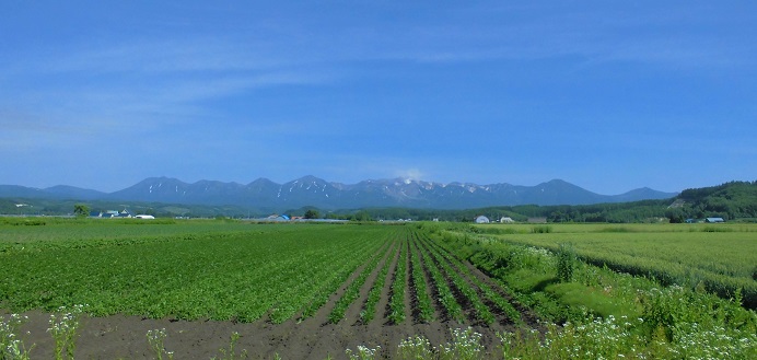 農産物情報　2017年7月9日（3日連続30℃越え）