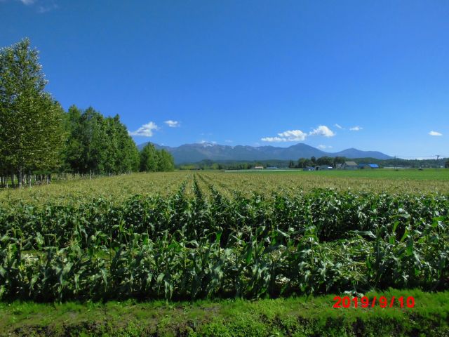 2019091002.jpg